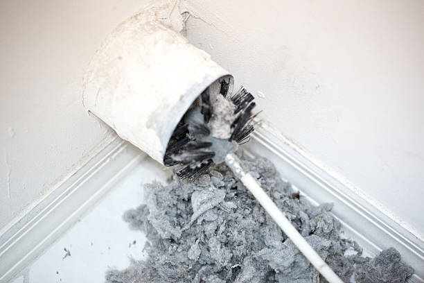 Best Air Duct Cleaning Near Me  in Walce Ridge, LA