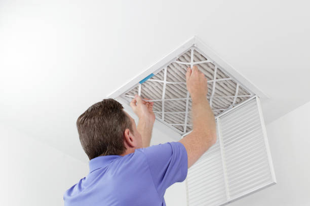 Best Air Duct Cleaning Near Me  in Walce Ridge, LA